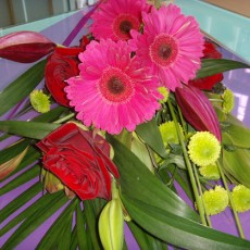 Lovely Surprise