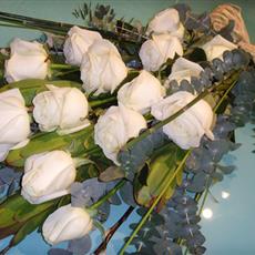 Purity