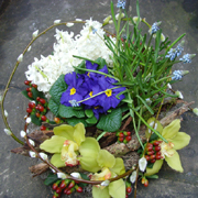 Vibrant Pot et Fleur