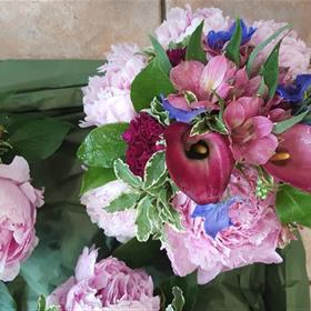 fwthumb20190526_143521.jpg