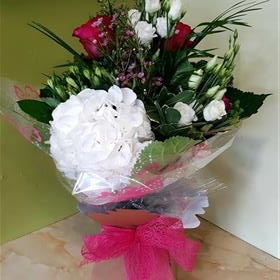 fwthumb20190815_131109.jpg